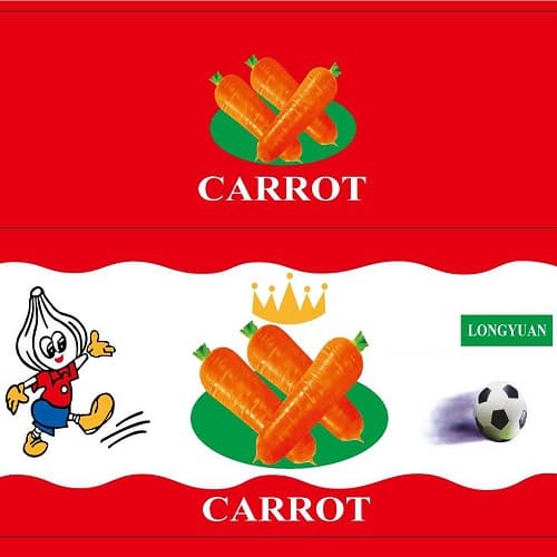 Bulk China Fresh Carrot for Korea Market